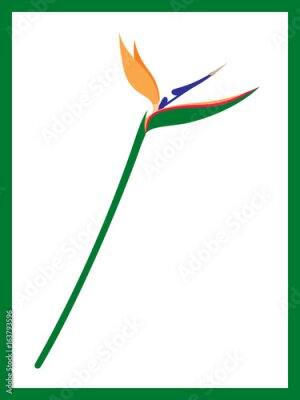 Papier peint  Fleur comme bird strelitzia