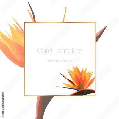 Papier peint  Fleur d'oiseau de paradis strelitzia orange orange tropical exotique. Modèle de cadre carte bannière flyer couverture bordure carrée.