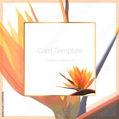 Papier peint  Fleur d'oiseau de paradis strelitzia orange orange tropical exotique. Modèle de cadre carte bannière flyer couverture bordure carrée. Espace réservé au texte. Illustration de conception vectorielle mi