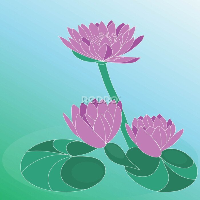 Papier peint  Fleur de lotus. Vecteur tiré par la main art