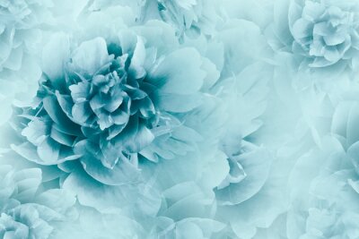 Papier peint  Fleur de printemps turquoise 