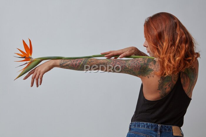 Papier peint  Fleur de strelitzia exotique décore la main d'une femme avec un tatouage sur un fond gris avec espace de copie pour le texte.
