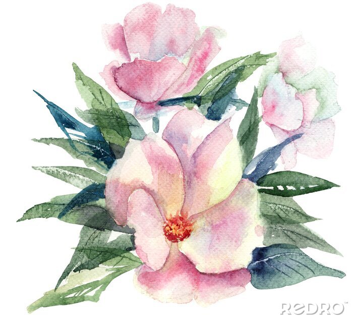 Papier peint  Fleur rose stylisée, illustration d'aquarelle