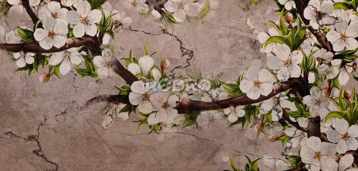 Papier peint  Fleurs blanches sur les branches des arbres
