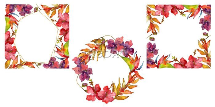 Papier peint  Fleurs botaniques florales tropicales exotiques. Wildflower de feuille de printemps sauvage isolé. Set d'illustration aquarelle. Aquarelle de mode dessin aquarelle isolé.