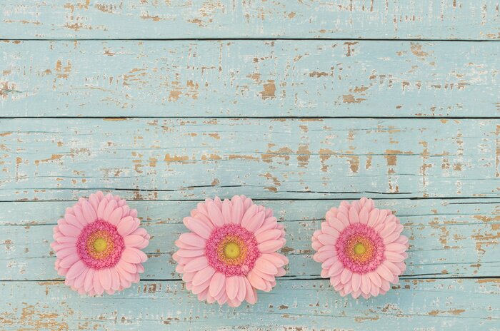 Papier peint  Fleurs claires style shabbby