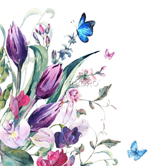 Papier peint  Fleurs colorées à l'aquarelle et papillons bleus