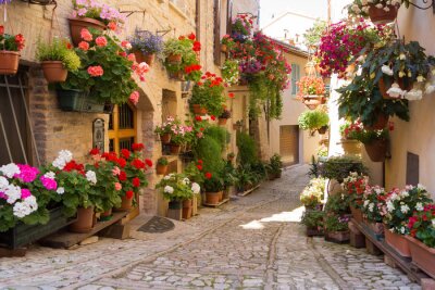 Papier peint  Fleurs colorées dans une ruelle italienne à Spello