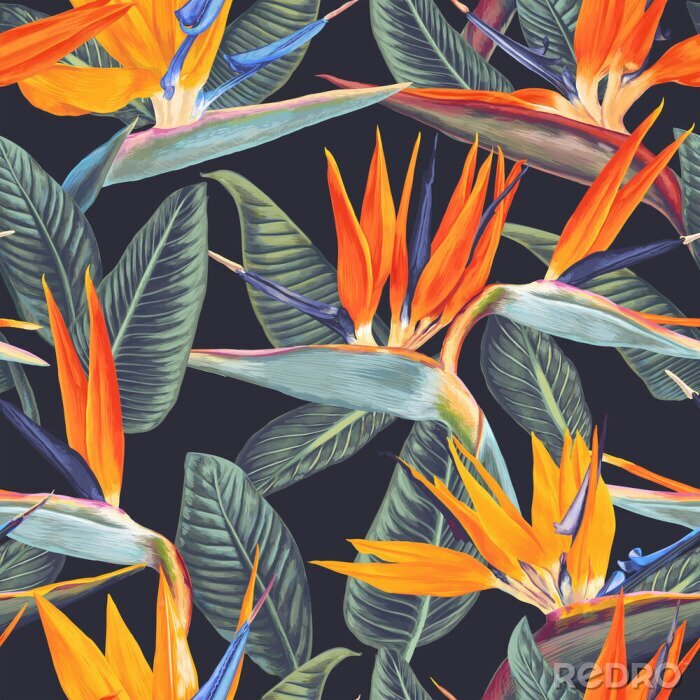 Papier peint  Fleurs colorées tropicales sur fond sombre