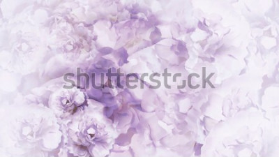 Papier peint  Fleurs couleur lilas