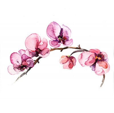 Papier peint  Fleurs d'orchidées à l'aquarelle sur une branche