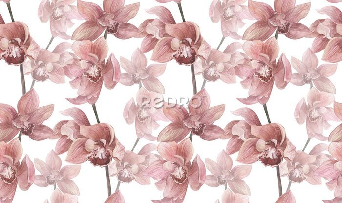 Papier peint  Fleurs d'orchidées roses denses