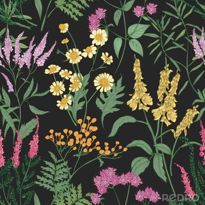 Papier peint  Fleurs dans la prairie sauvage