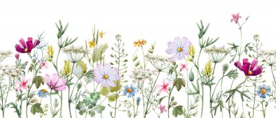 Papier peint  Fleurs dans le pré