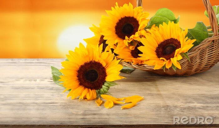 Papier peint  Fleurs dans un panier