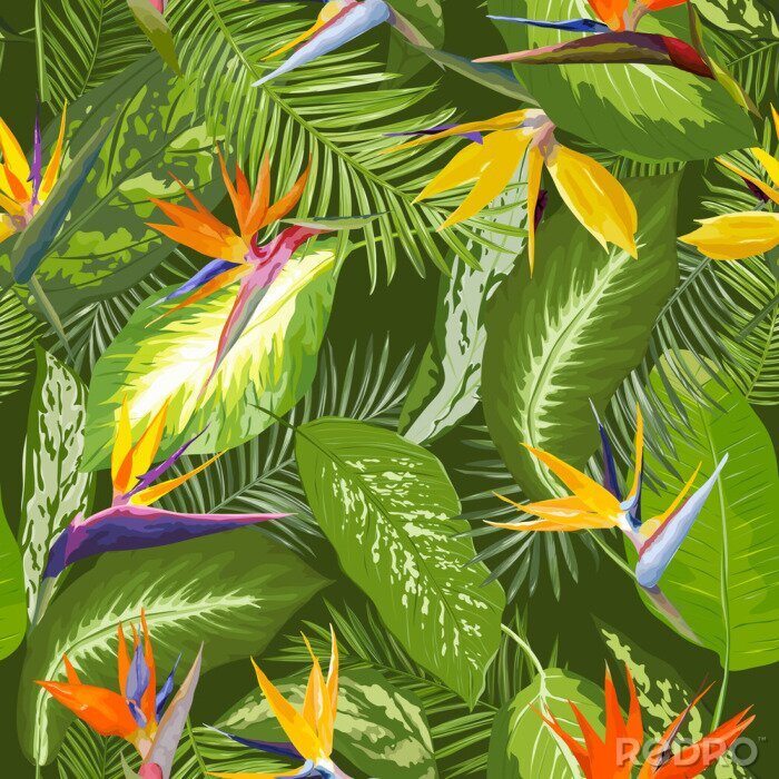 Papier peint  Fleurs de la jungle tropicale