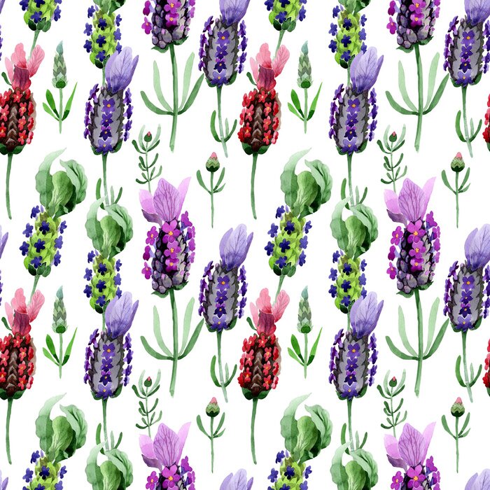 Papier peint  Fleurs de lavande aquarellées sur un fond blanc