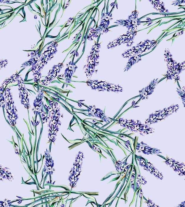 Papier peint  Fleurs de lavande sur un fond violet