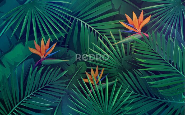 Papier peint  Fleurs de strelitzia orange et feuilles de palmier vertes