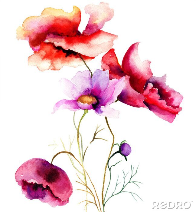 Papier peint  Fleurs des champs version aquarelle