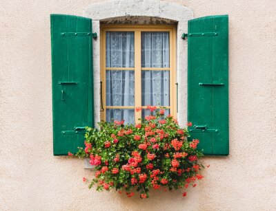 Fleurs devant une fenêtre vintage
