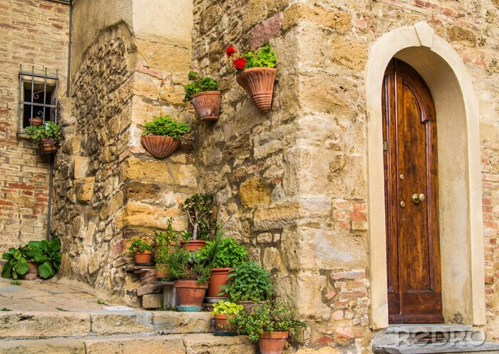 Papier peint  Fleurs en pots près des murs