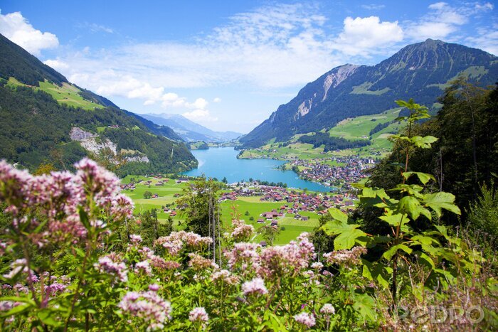Papier peint  Fleurs et plantes sur un fond de montagnes