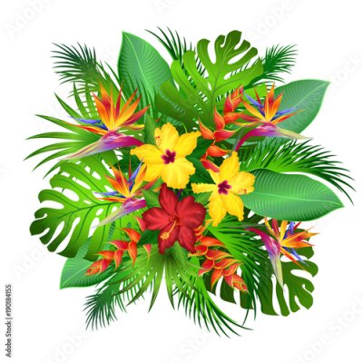 Papier peint  Fleurs exotiques avec des feuilles de palmier (strelitzia, hibiscus, heliconia). Illustration vectorielle dessinés à la main sur fond blanc.