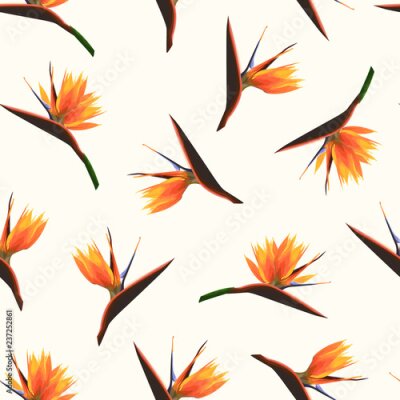 Papier peint  Fleurs orange vif tropicales exotiques isolés sur fond beige. Strelitzia oiseau de paradis texture transparente motif feuillage. Illustration de conception vectorielle pour la mode, textile, tissu, dé