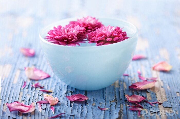 Papier peint  Fleurs roses dans un bol