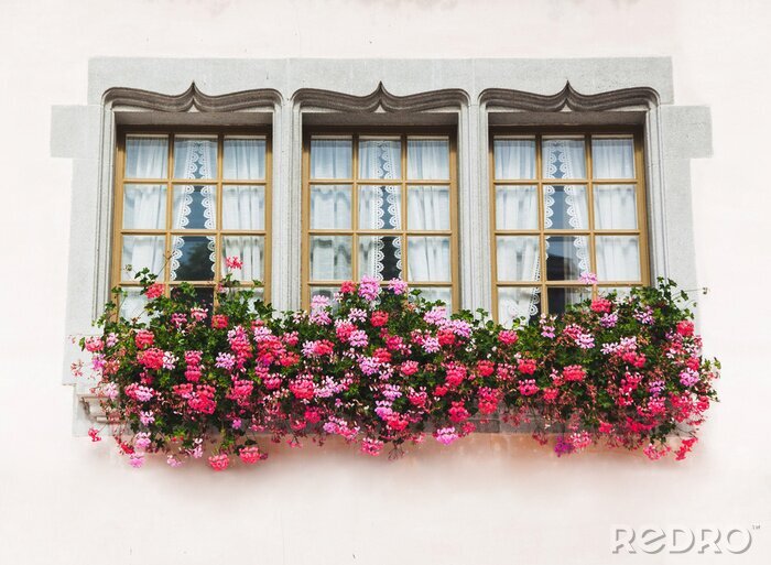 Papier peint  Fleurs roses sur une fenêtre