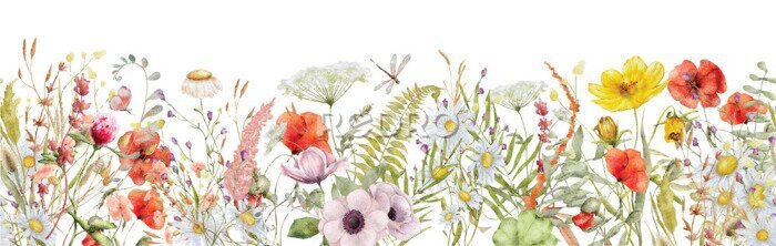 Papier peint  Fleurs sauvages colorées sur fond blanc