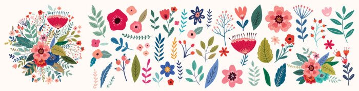 Papier peint  Fleurs sauvages colorées sur fond blanc