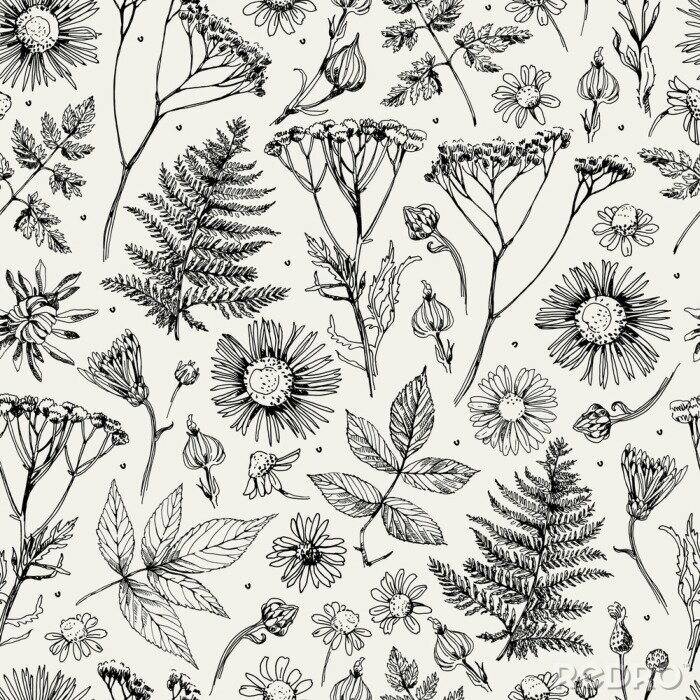 Papier peint  Fleurs sauvages de style vintage