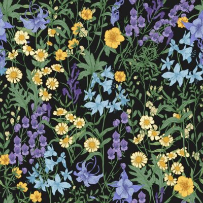 Fleurs sauvages sur fond noir