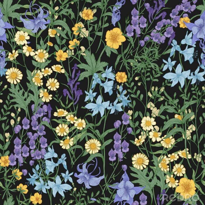 Papier peint  Fleurs sauvages sur fond noir