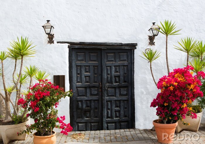 Papier peint  Fleurs sur fond de mur blanc comme neige