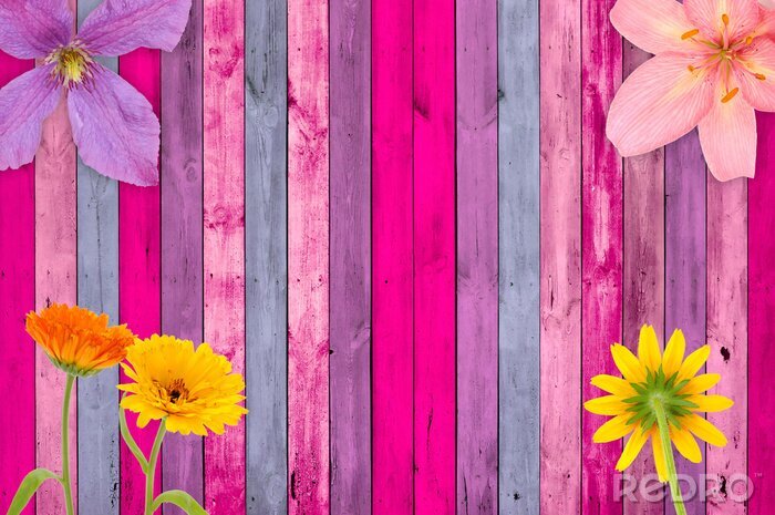 Papier peint  Fleurs sur fond de planches peintes rose-bleu