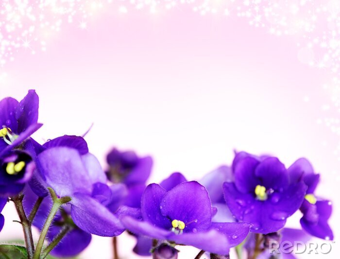 Papier peint  Fleurs sur fond rose poudré