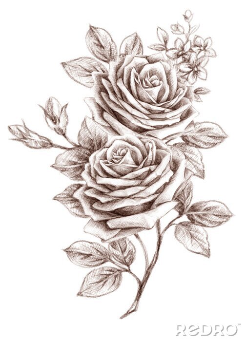 Papier peint  Fleurs sur un croquis artistique