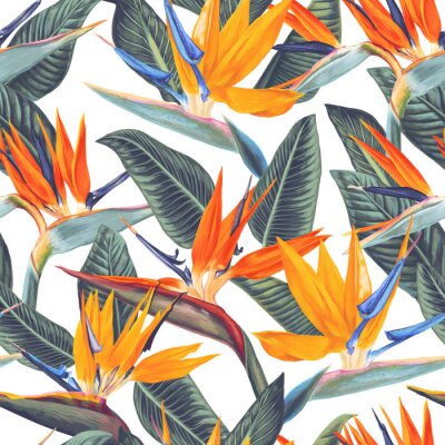 Fleurs tropicales colorées sur fond blanc