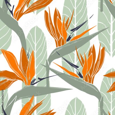 Papier peint  Fleurs tropicales dessinées à la main. Strelitzia. Modèle sans couture de vecteur.