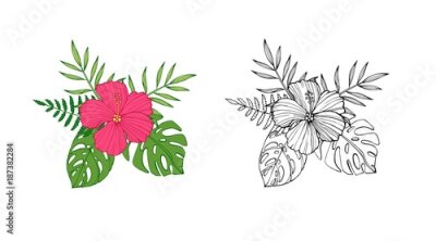 Papier peint  Fleurs tropicales - hibiscus, protea, plumeria, oiseau de paradis et de magnolia, illustration de vecteur de style croquis isolé sur fond blanc. Dessin de main réaliste coloré de fleurs exotiques, tro