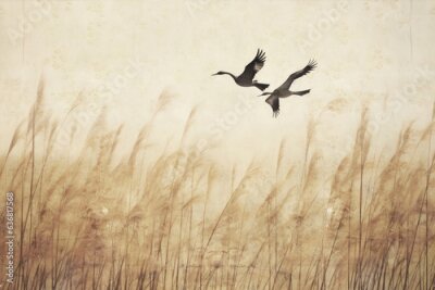 Papier peint  Flock of birds flying .