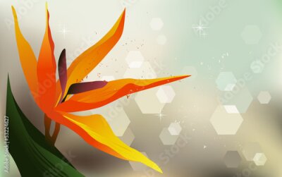 Papier peint  Floral background, Strelitzia - Fond d'écran