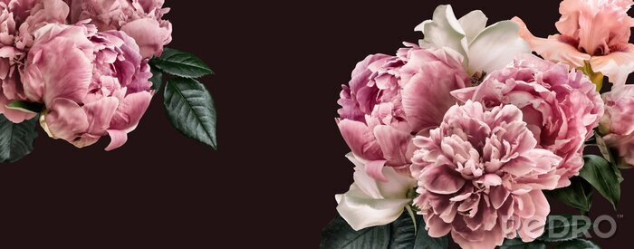 Papier peint  Floral banner, flower cover or header with vintage bouquets. Pink peonies, white roses isolated on black background.