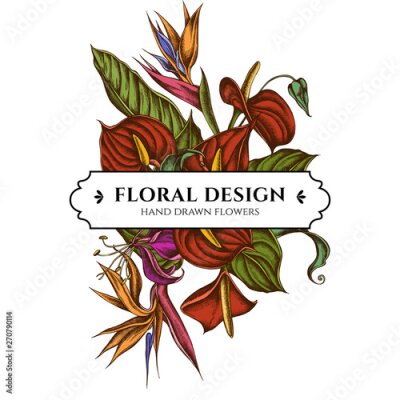 Papier peint  Floral bouquet design with colored gloriosa, anthurium, strelitzia