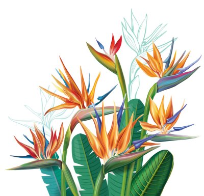 Papier peint  Floral bouquet with Strelitzia flowers