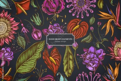 Papier peint  Floral design on dark background with african daisies, fuchsia, gloriosa, king protea, anthurium, strelitzia