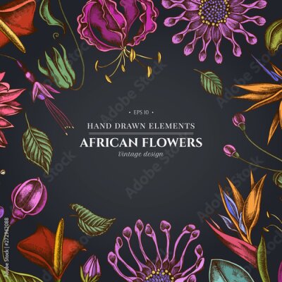 Papier peint  Floral design on dark background with african daisies, fuchsia, gloriosa, king protea, anthurium, strelitzia
